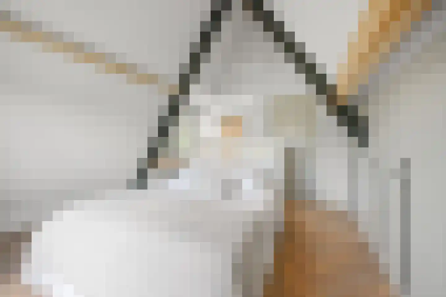 De Regenboog 36 Nieuwkoop thumbnail 35