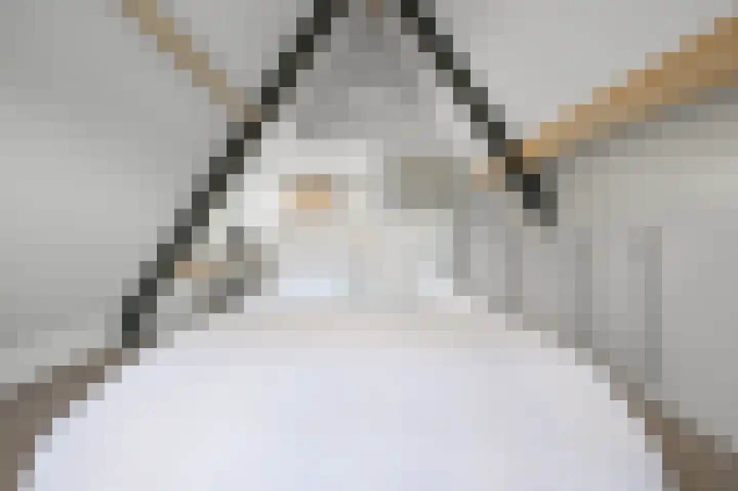 De Regenboog 36 Nieuwkoop thumbnail 36