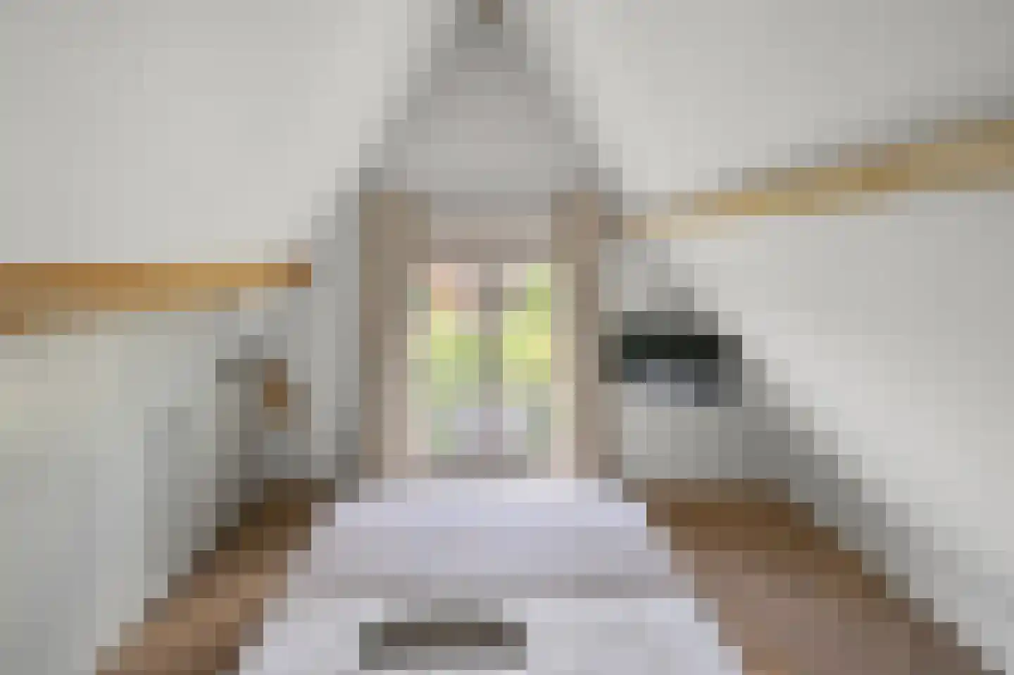 De Regenboog 36 Nieuwkoop thumbnail 38