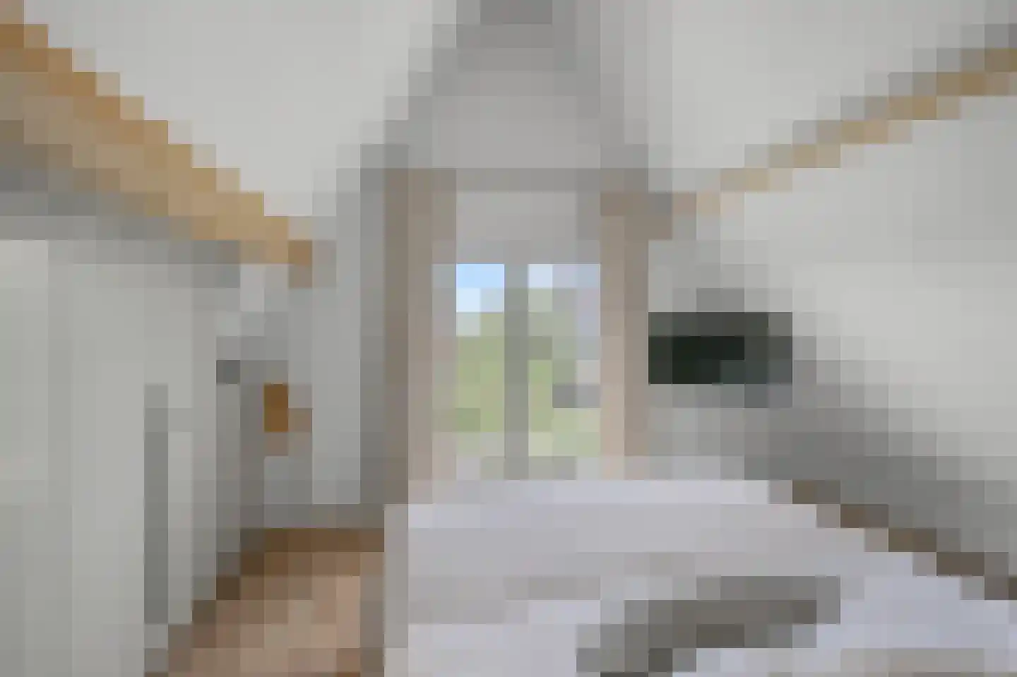 De Regenboog 36 Nieuwkoop thumbnail 39