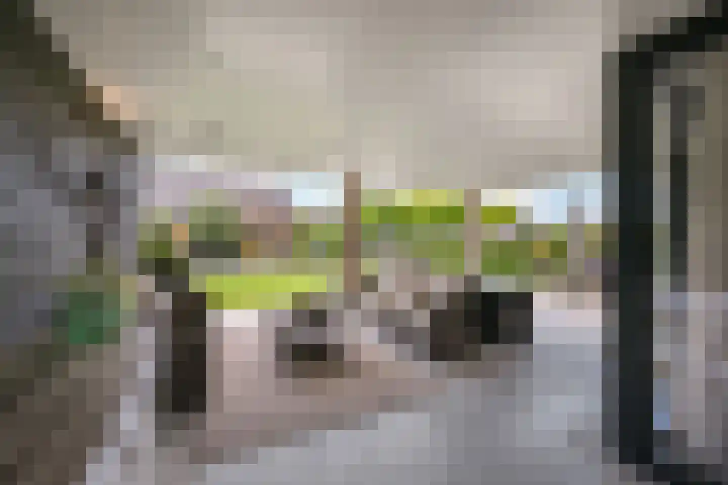 De Regenboog 36 Nieuwkoop thumbnail 65