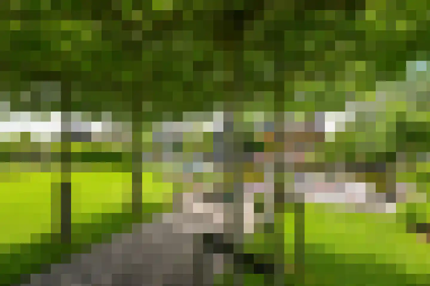 De Regenboog 36 Nieuwkoop thumbnail 67