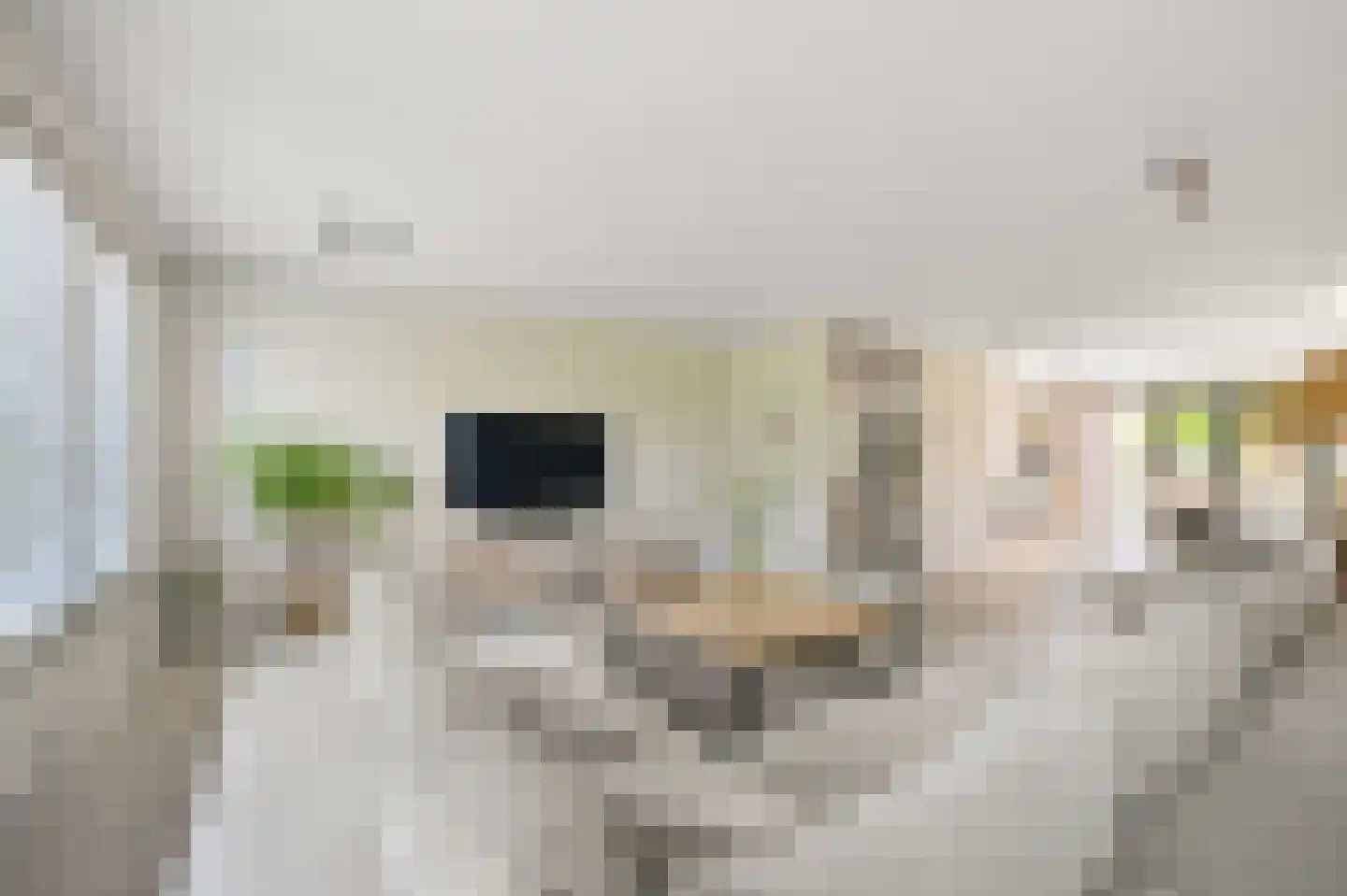 De Regenboog 36 Nieuwkoop thumbnail 8