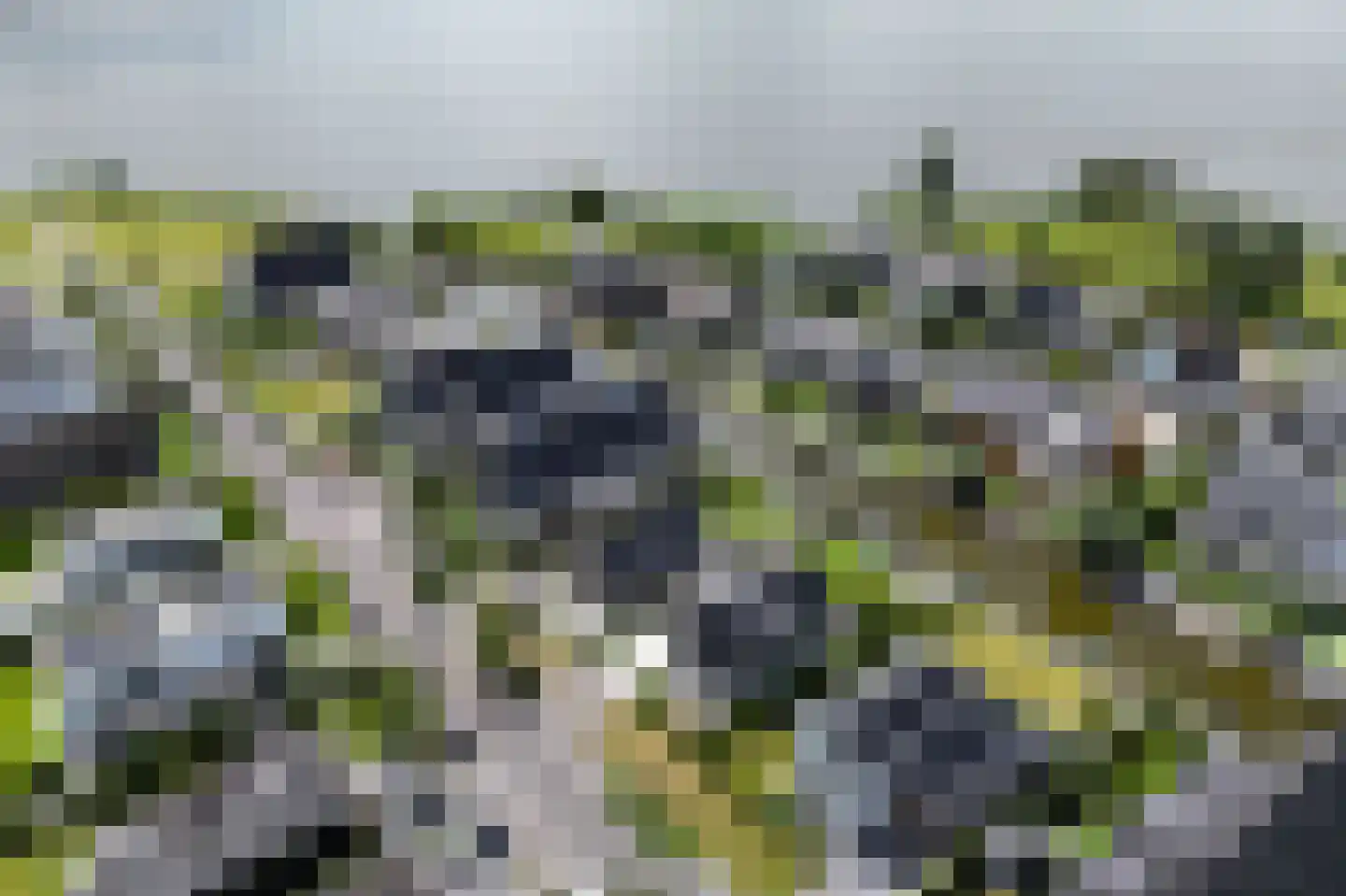De Regenboog 36 Nieuwkoop thumbnail 87