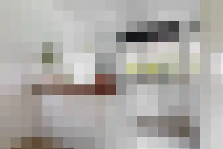 De Regenboog 48 Nieuwkoop thumbnail 10