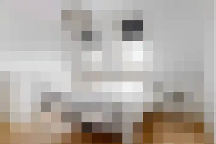 De Regenboog 48 Nieuwkoop thumbnail 15