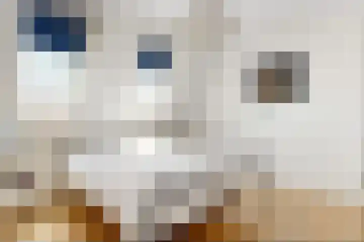 De Regenboog 48 Nieuwkoop thumbnail 16