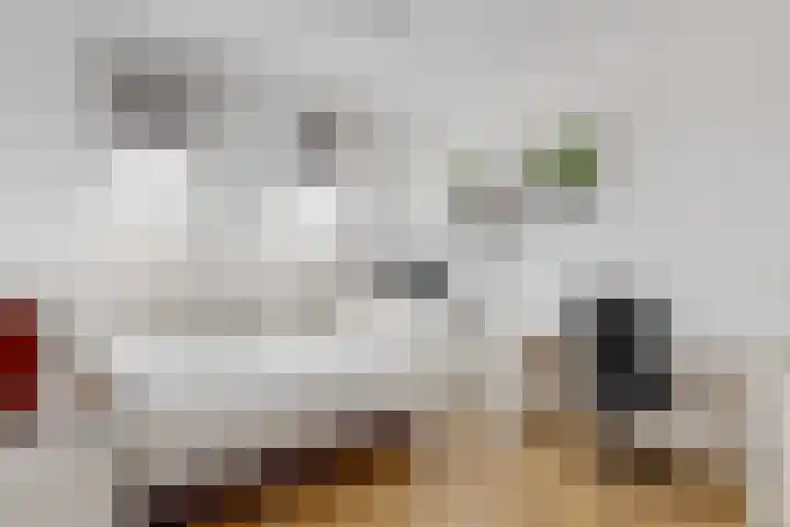 De Regenboog 48 Nieuwkoop thumbnail 19
