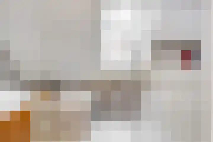 De Regenboog 48 Nieuwkoop thumbnail 23
