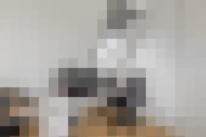 De Regenboog 48 Nieuwkoop thumbnail 29