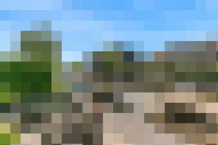 De Regenboog 48 Nieuwkoop thumbnail 37