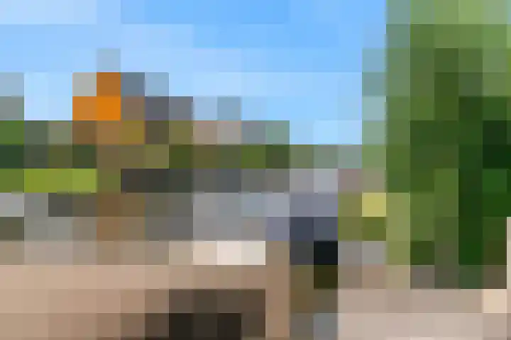 De Regenboog 48 Nieuwkoop thumbnail 39