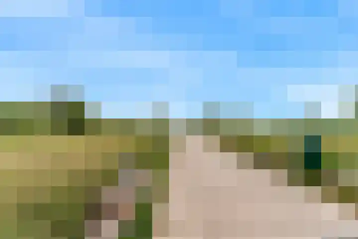 De Regenboog 48 Nieuwkoop thumbnail 40
