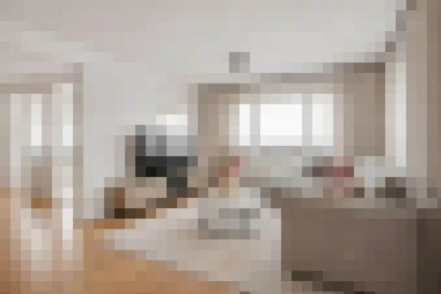 De Regent 202 Eindhoven thumbnail 13