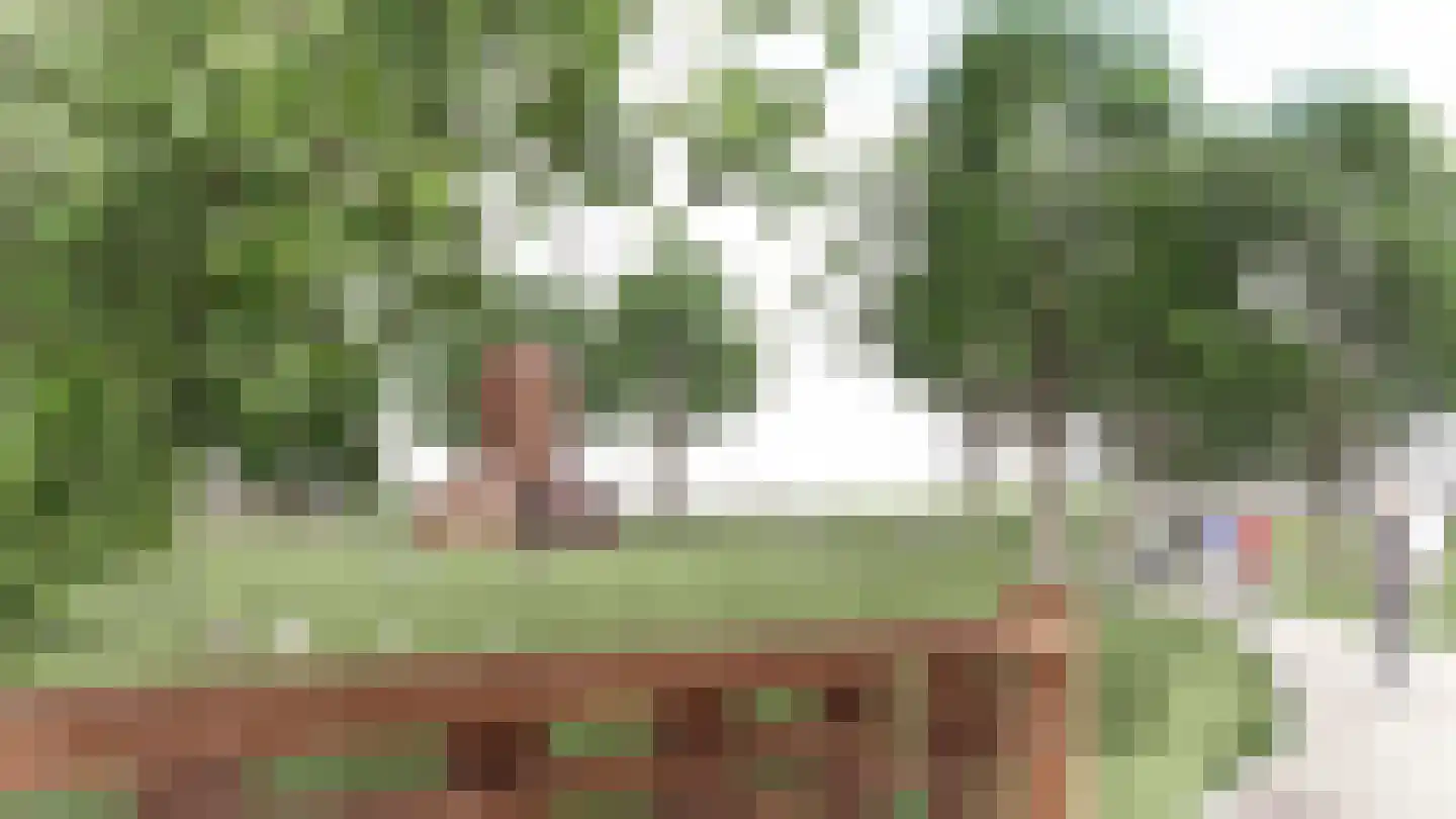 De Regent 202 Eindhoven thumbnail 36