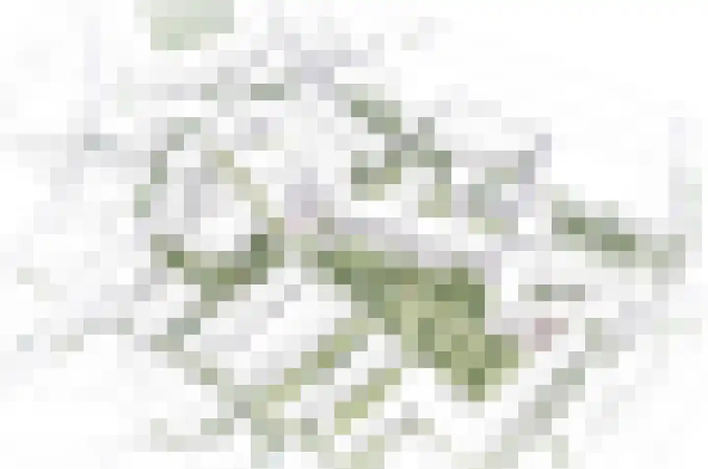 De Regent 202 Eindhoven thumbnail 37