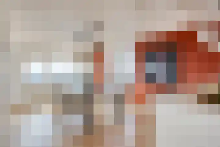 De Regent 266 Eindhoven thumbnail 11
