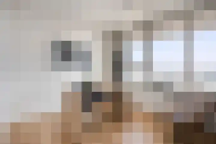 De Regent 266 Eindhoven thumbnail 16
