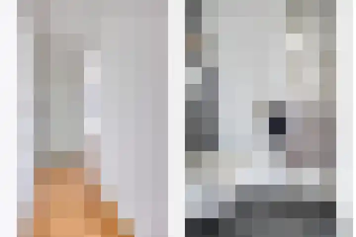 De Regent 266 Eindhoven thumbnail 17
