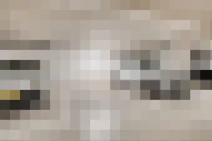De Regent 266 Eindhoven thumbnail 27