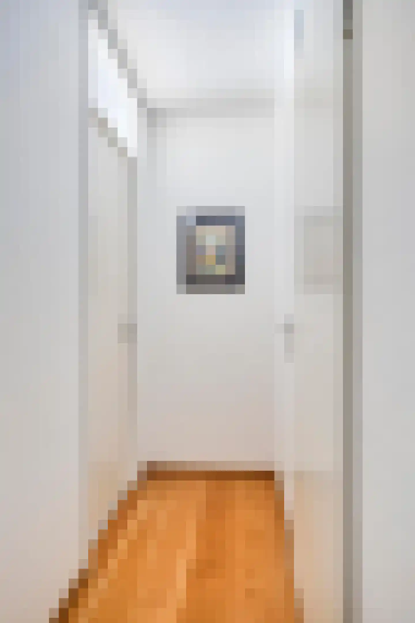 De Regent 292 Eindhoven thumbnail 33