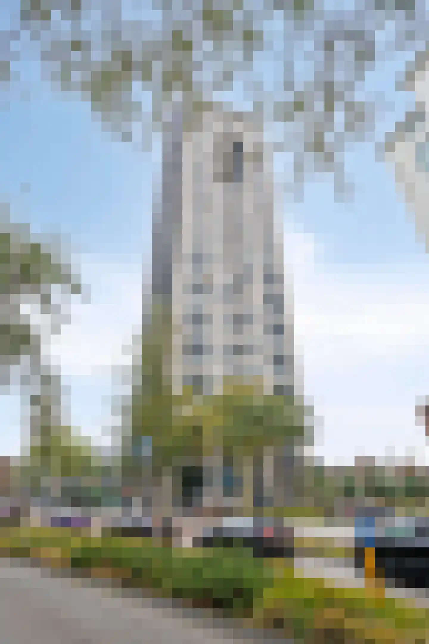 De Regent 292 Eindhoven thumbnail 57