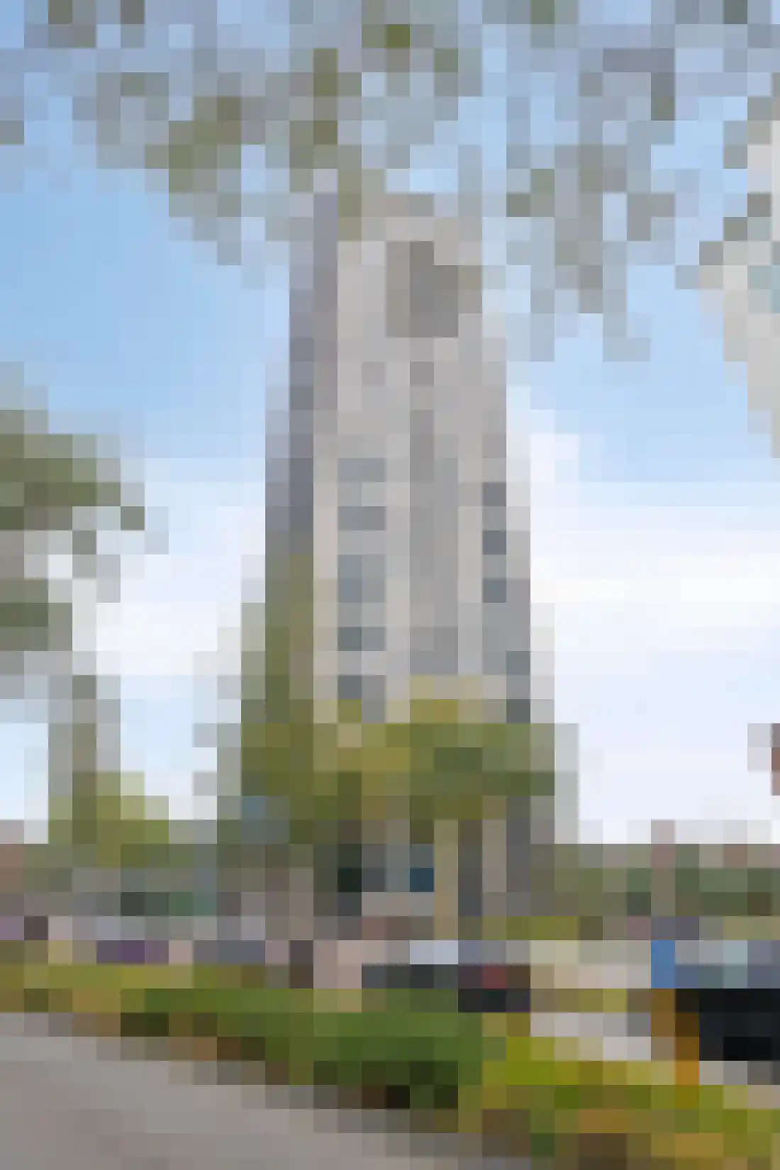 De Regent 292 Eindhoven thumbnail 8