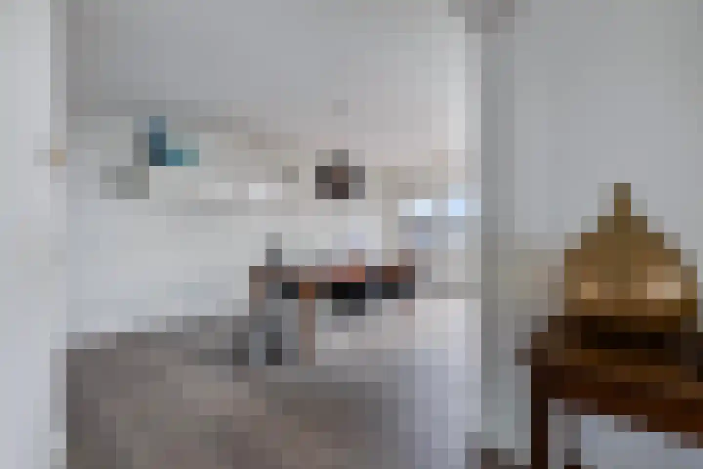 De Regent 66 Eindhoven thumbnail 11