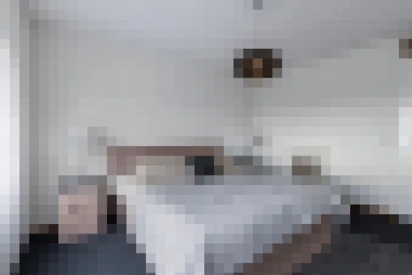 De Regent 66 Eindhoven thumbnail 21