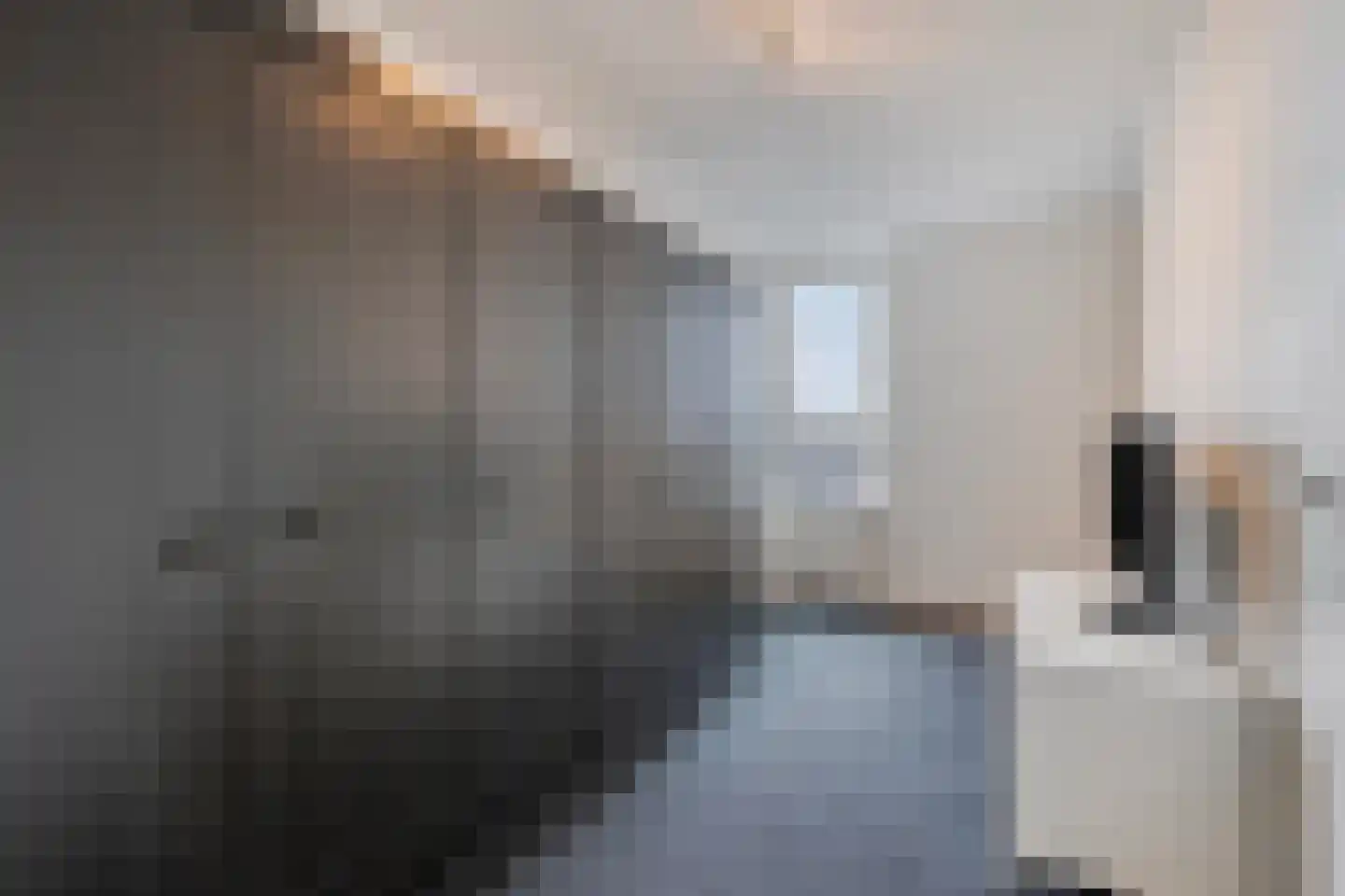 De Regent 66 Eindhoven thumbnail 22