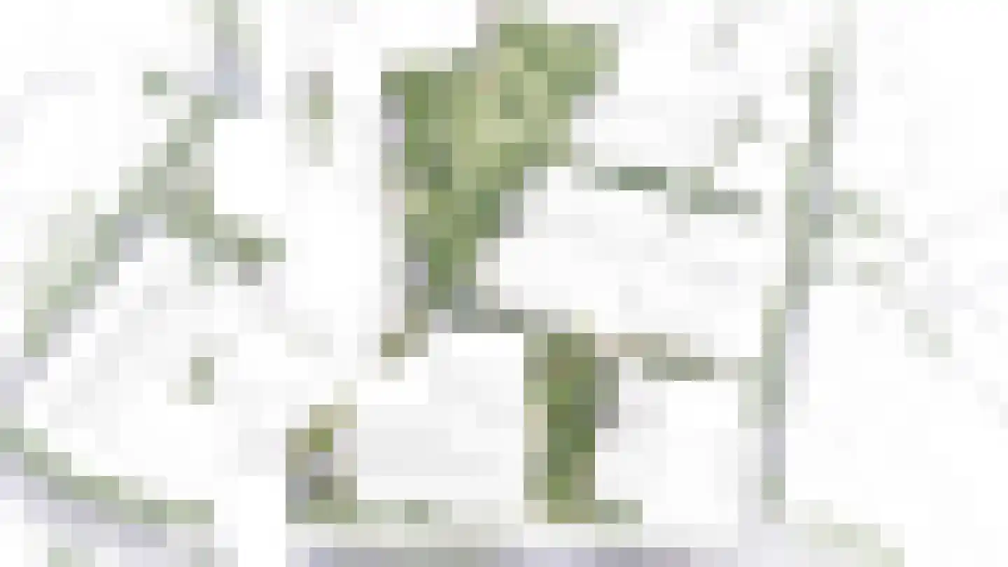 De Regent 66 Eindhoven thumbnail 28