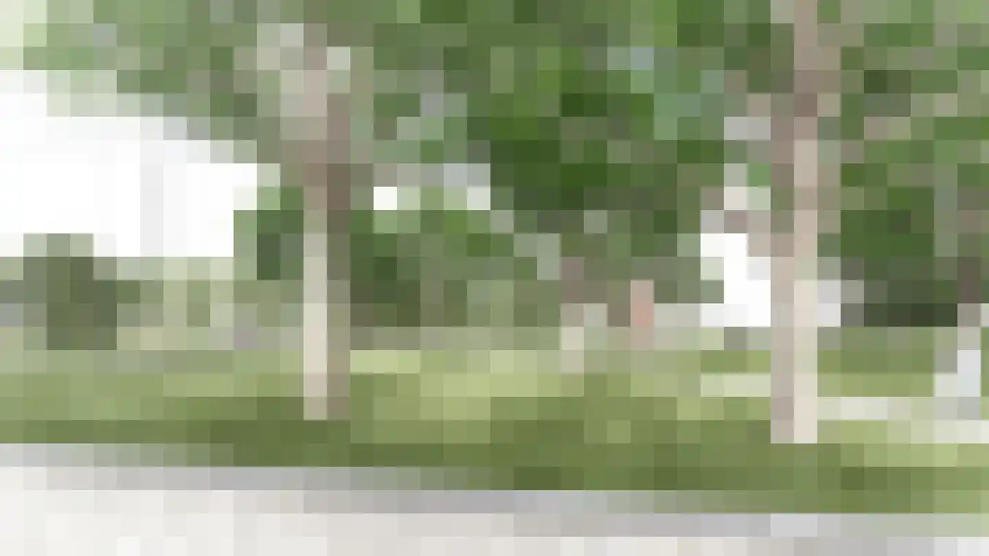 De Regent 66 Eindhoven thumbnail 30