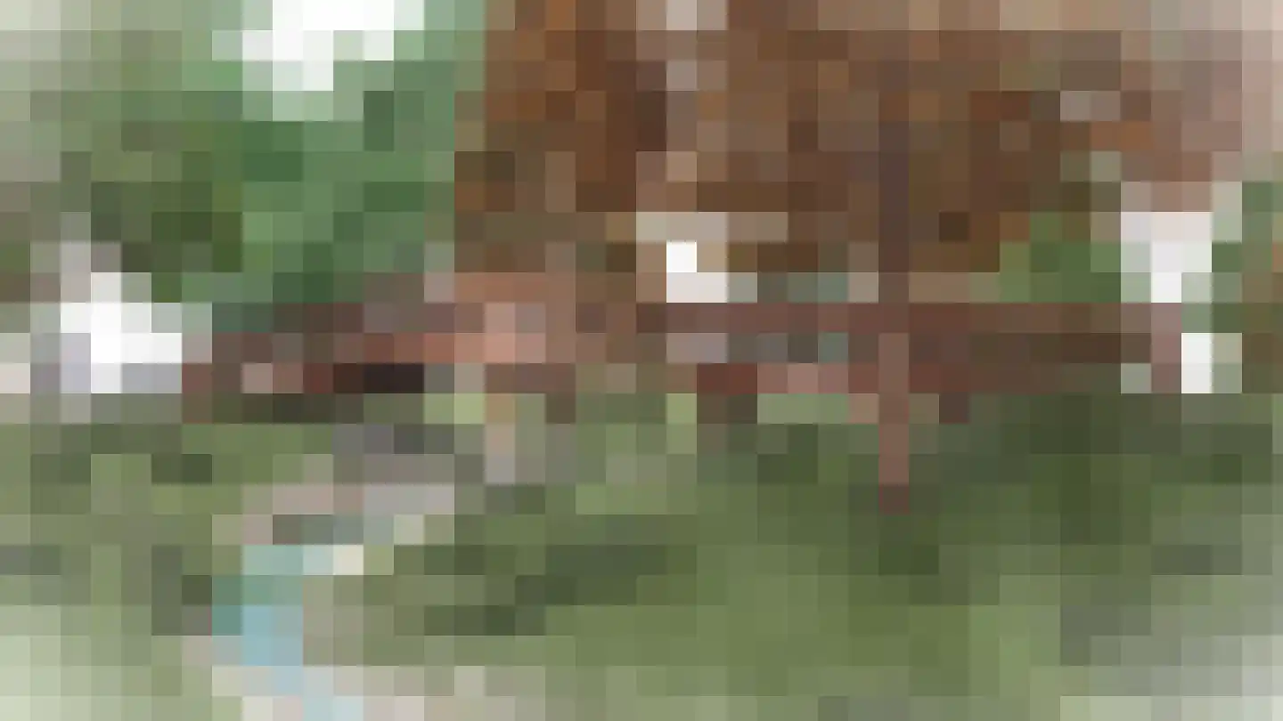 De Regent 66 Eindhoven thumbnail 31
