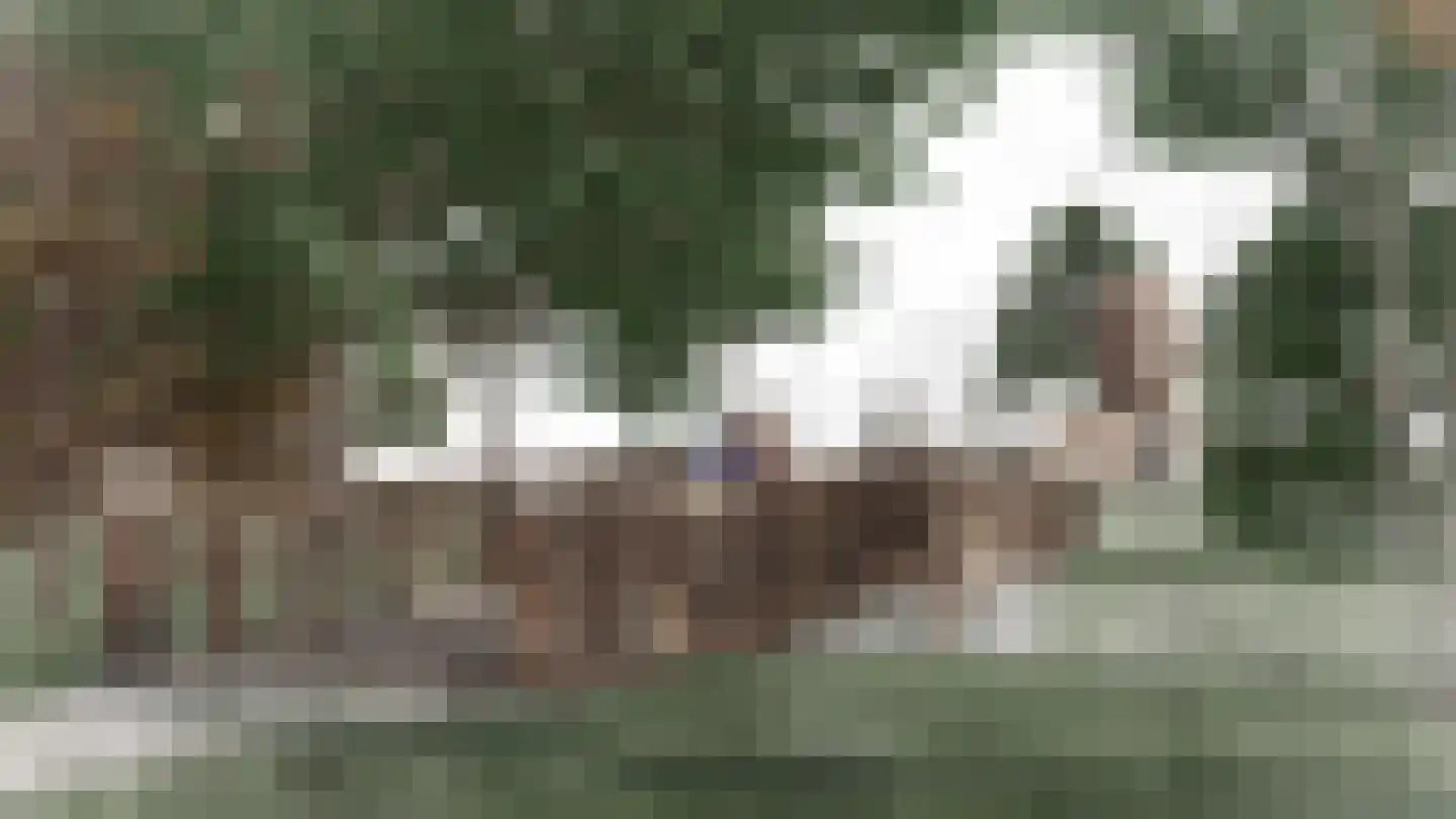 De Regent 66 Eindhoven thumbnail 32