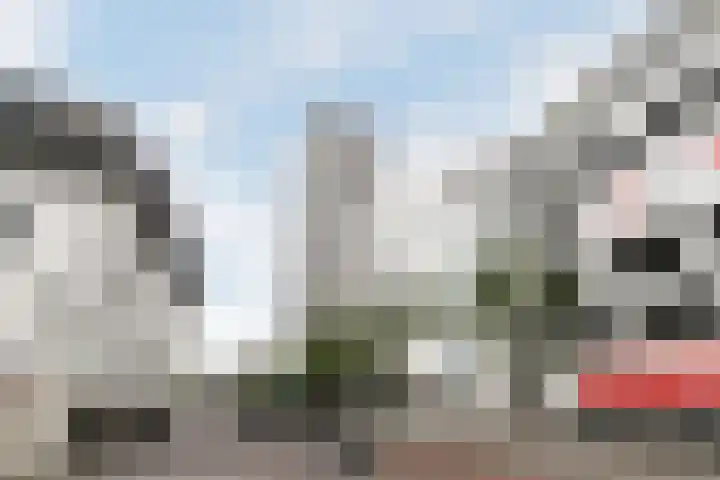 De Regent 72 Eindhoven thumbnail 26