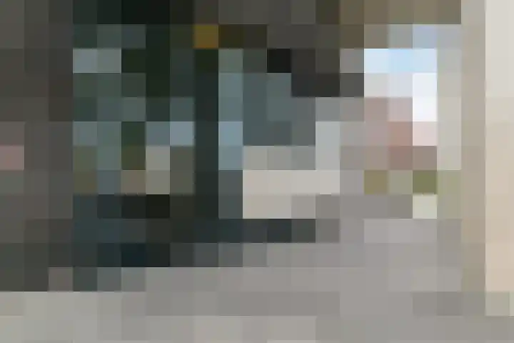 De Regent 72 Eindhoven thumbnail 5