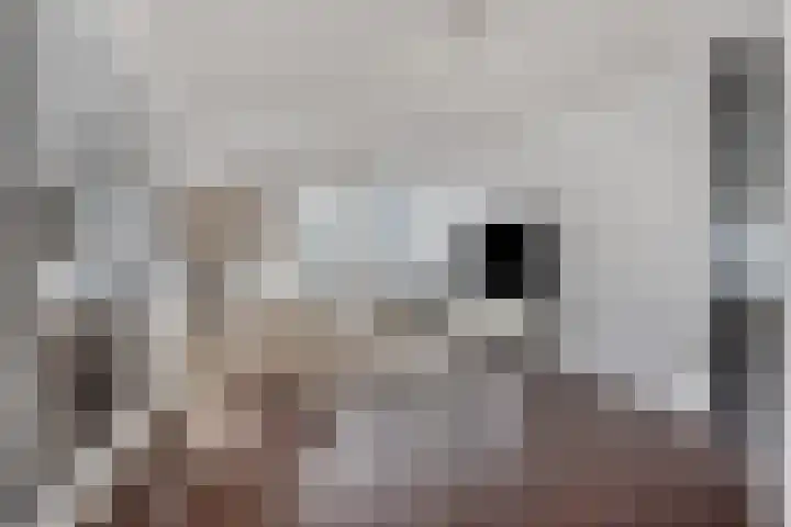 De Regent 72 Eindhoven thumbnail 9