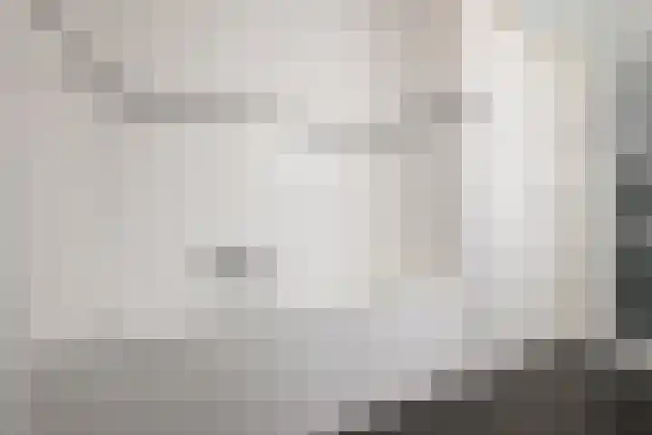 De Regentesse 14 Huizen thumbnail 16