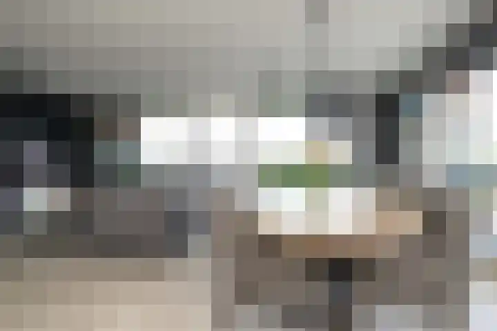 De Regentesse 14 Huizen thumbnail 27
