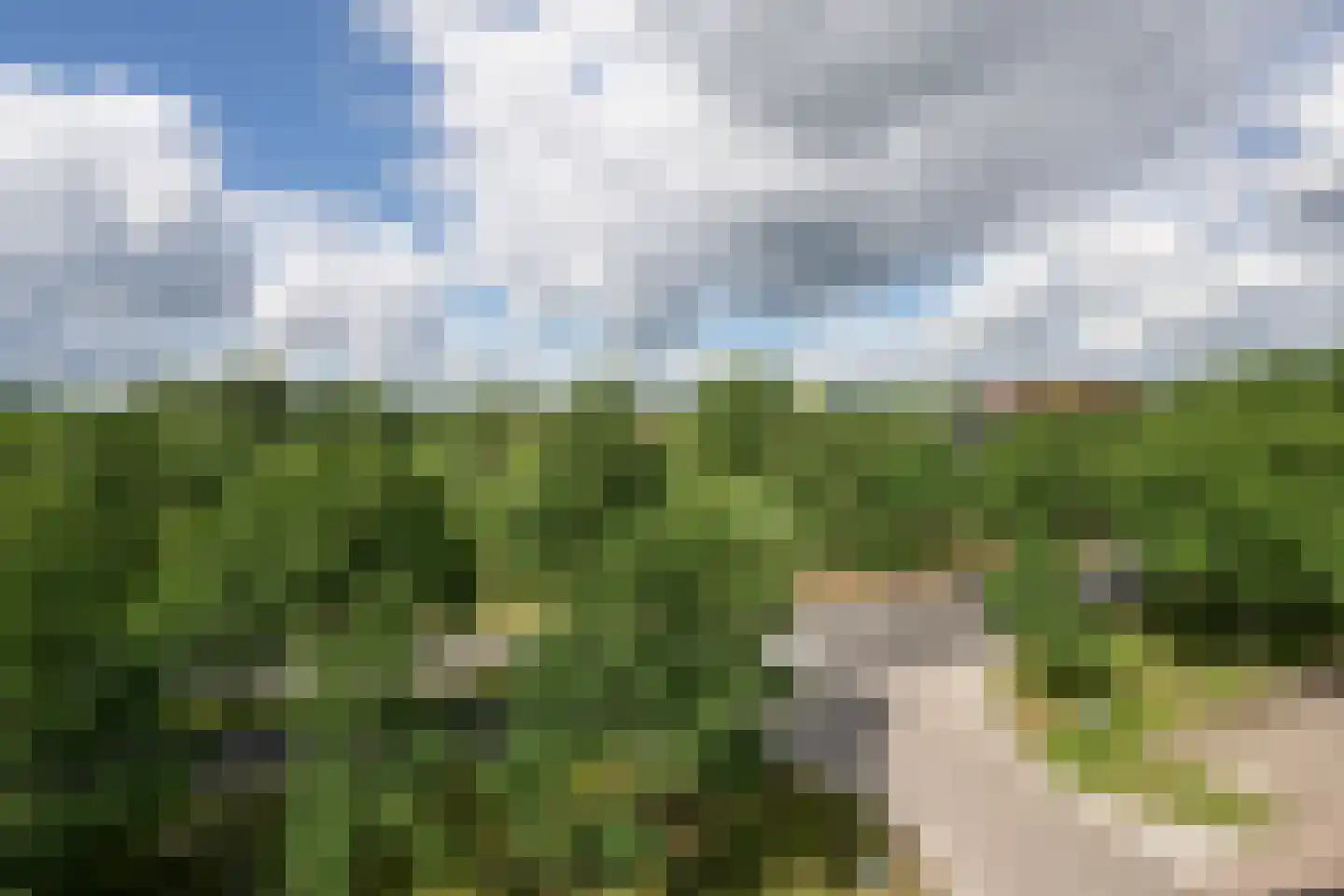 De Regentesse 17 Huizen thumbnail 15