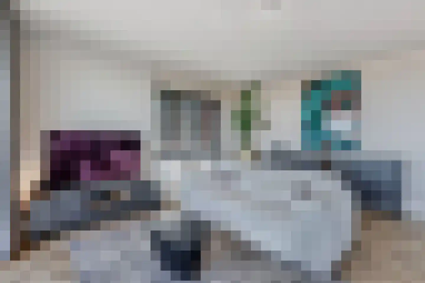 De Regentesse 19 Huizen thumbnail 12