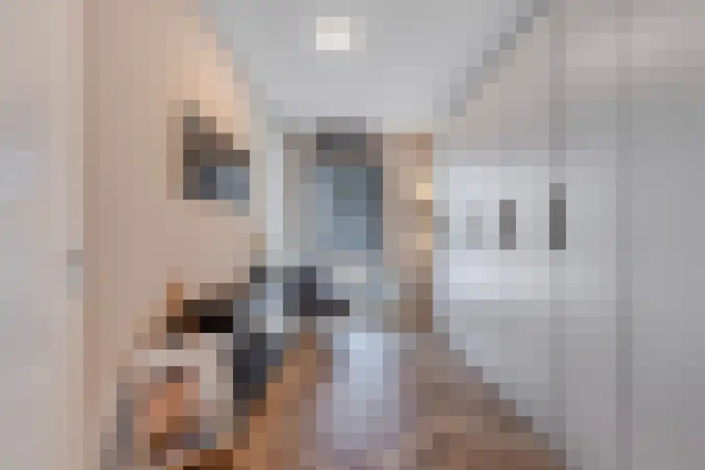 De Regentesse 19 Huizen thumbnail 17