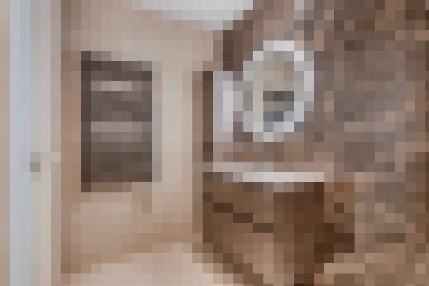 De Regentesse 19 Huizen thumbnail 20