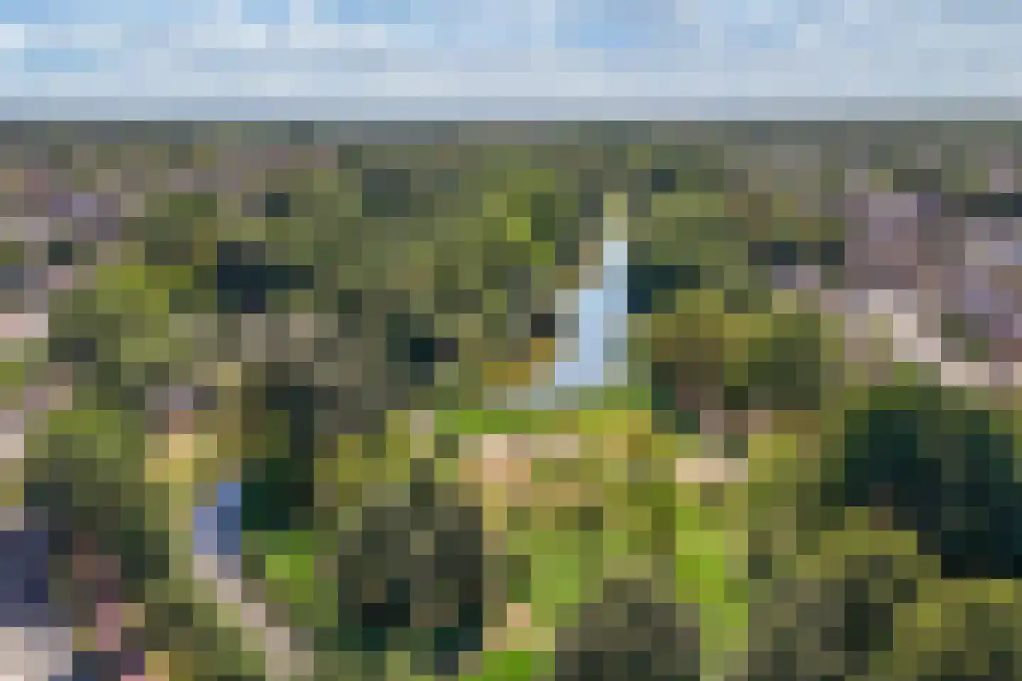 De Regentesse 19 Huizen thumbnail 37