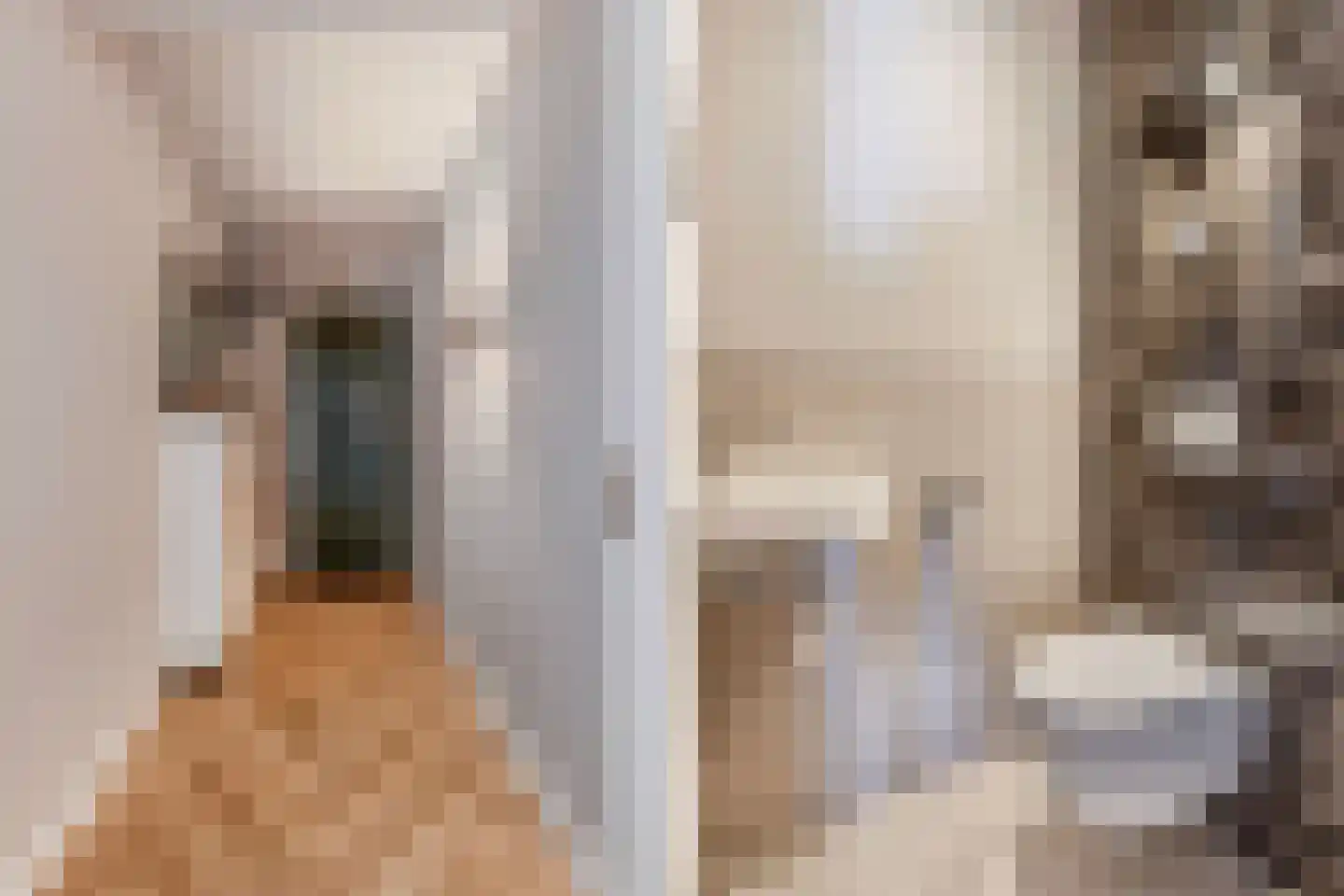 De Regentesse 19 Huizen thumbnail 7