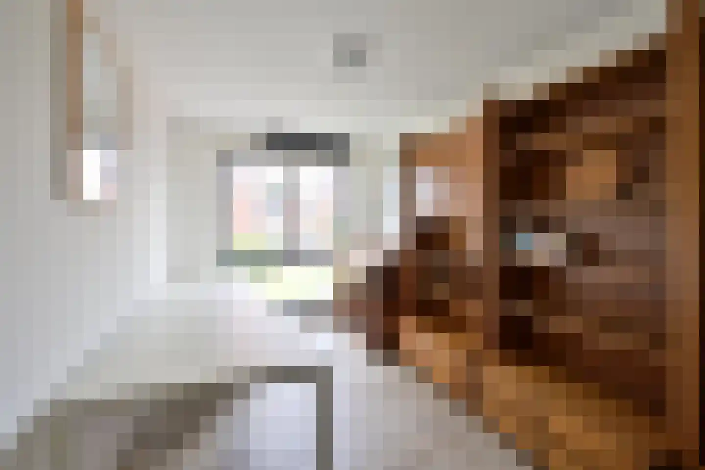 De Regentesse 32 Huizen thumbnail 12