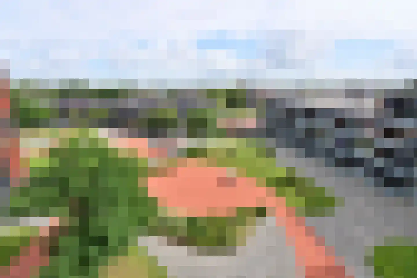 De Regentesse 32 Huizen thumbnail 14