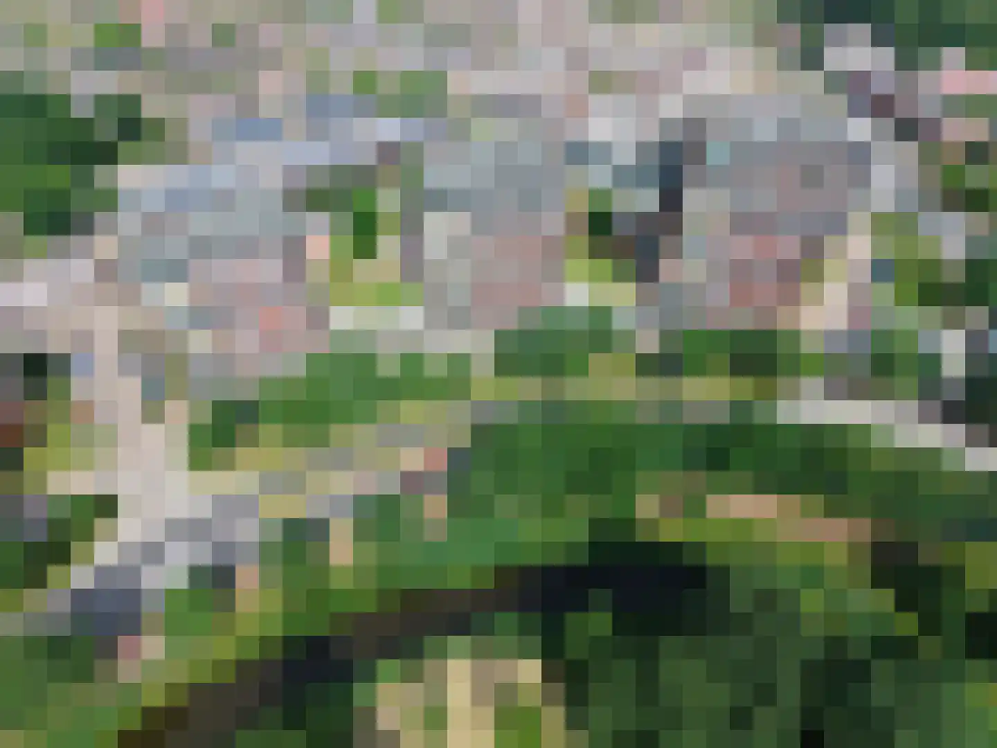 De Regentesse 32 Huizen thumbnail 17