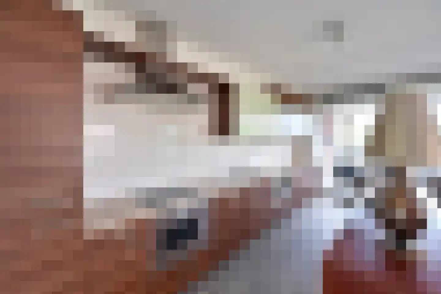 De Regentesse 32 Huizen thumbnail 6