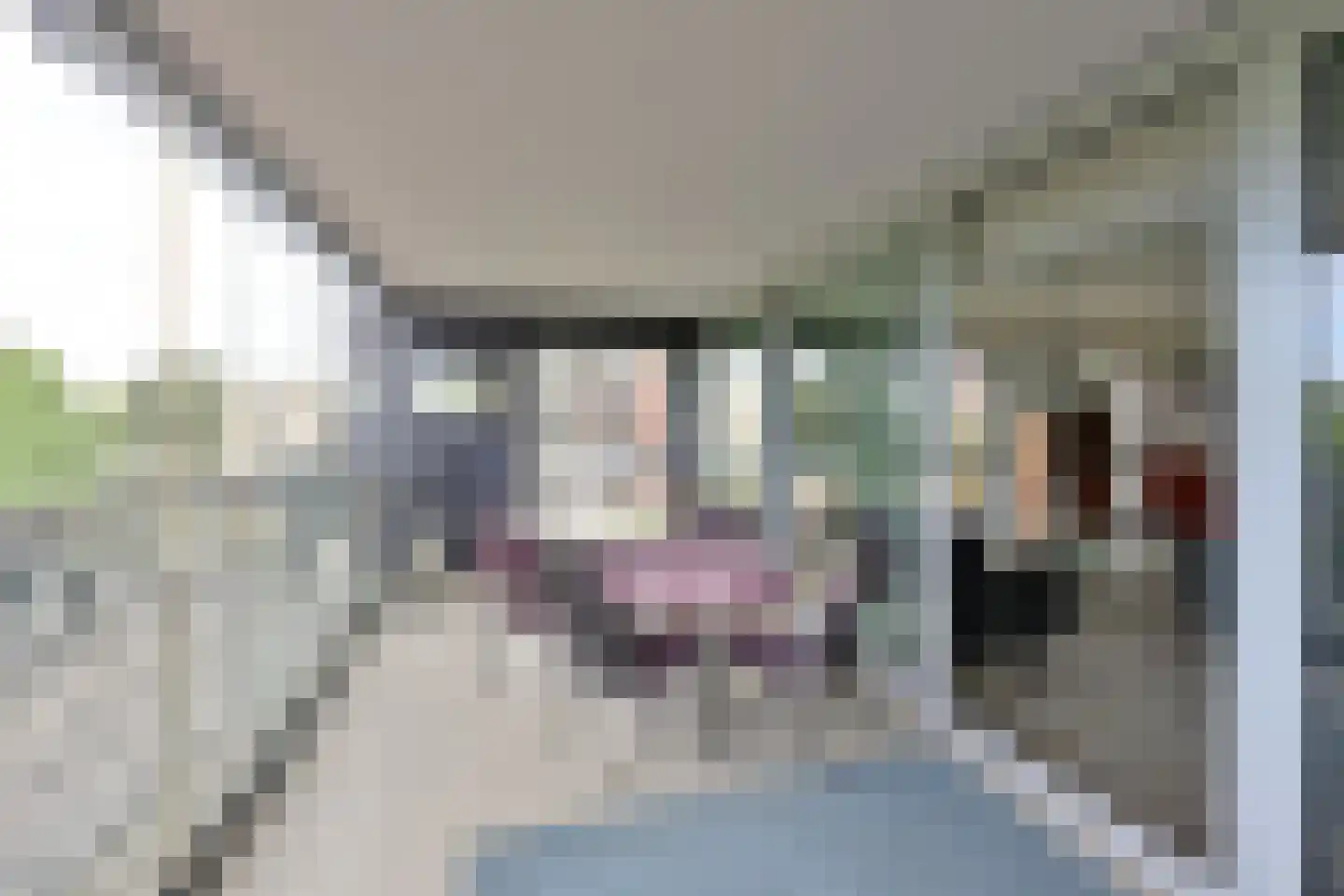 De Regentesse 32 Huizen thumbnail 8